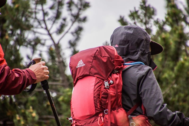 Patagonia Black Hole Backpack
